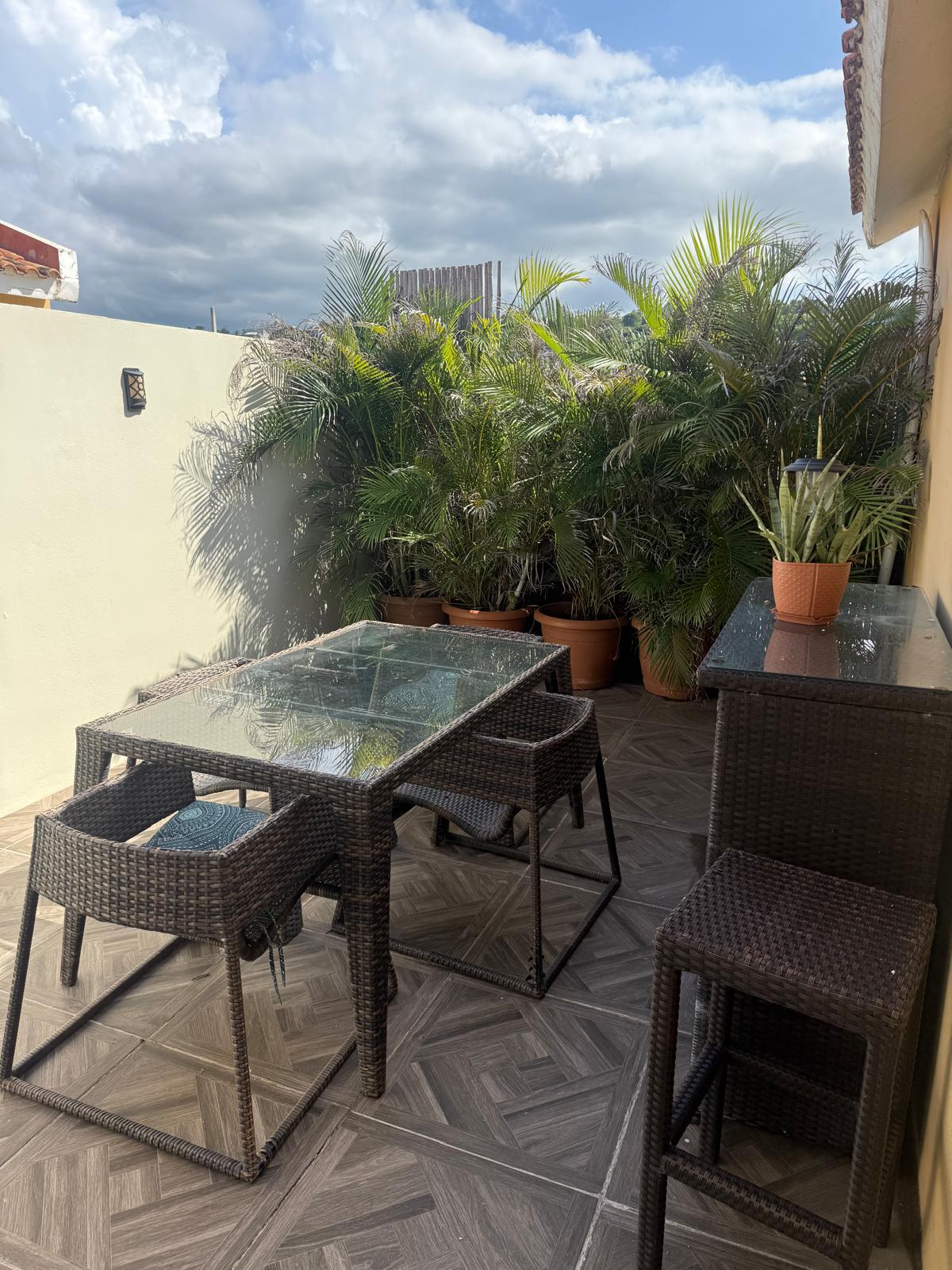 Studio outdoor dining table surrounded by potted palms