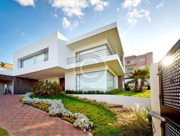 First Property Search